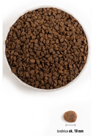 Acana Pacifica Cat & Kitten 340g