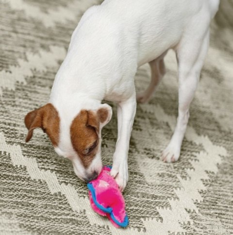 Outward Hound Invincibles Minis Pig [32013]