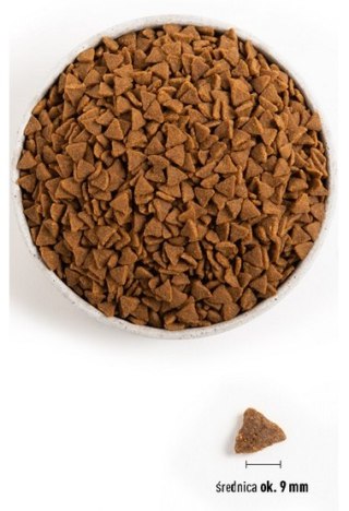 Acana Bountiful Catch Cat & Kitten 4,5kg