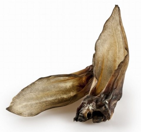 Balto Ucho sarny 5szt