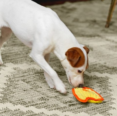 Outward Hound Invincibles Minis Waleczny pisklak 67805