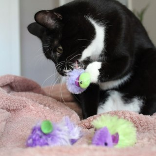 Dingo Zabawka dla kota - Myszki Disco 2szt