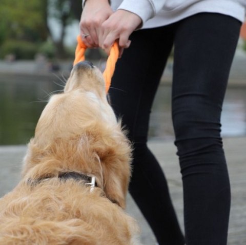 Dingo Zabawka dla psa - Ringo zaplatane Energy 18cm pomarańczowe