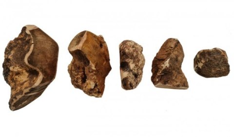 4DOGS Gryzak z korzenia drzewa wrzosowego XL