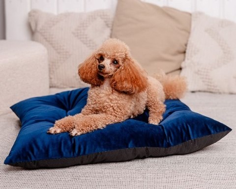 MIMIKO Pets Legowisko Poducha Velvet 70x50cm granat