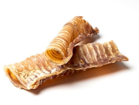 Bult Tchawica wołowa 2szt