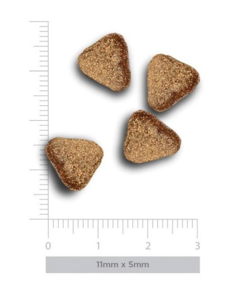 Amanova Dog Adult Mini Digestive Divine Rabbit - królik 2kg