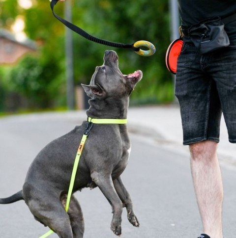 Dingo Zabawka dla psa - Szarpak Ringo z rączką bungee 10cm