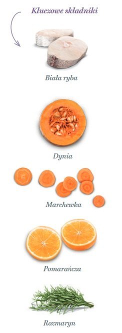 Amanova Cat Sterilised Fish Delicacy - biała ryba 300g