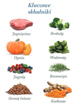 Amanova Dog Adult Delicious Lamb - jagnięcina saszetka 100g [P15]