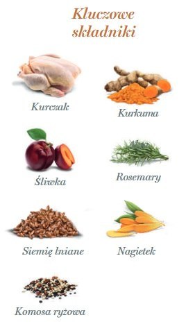 Amanova Dog Adult Exquisite Chicken - kurczak saszetka 100g [P03]