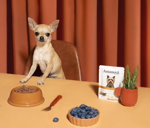 Amanova Dog Adult Exquisite Chicken - kurczak saszetka 100g [P03]