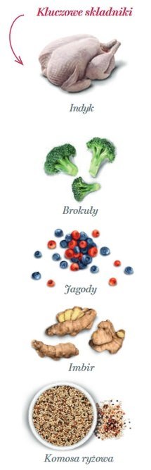 Amanova Dog Adult Mini Obesity Turkey Delight - indyk 7kg