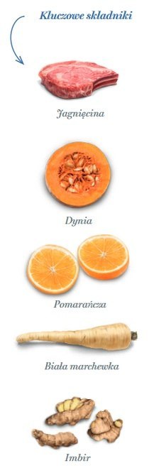 Amanova Dog Adult Sensitive Delicious Lamb - jagnięcina 10kg