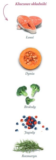 Amanova Dog Adult Sensitive Salmon Deluxe - łosoś 2kg