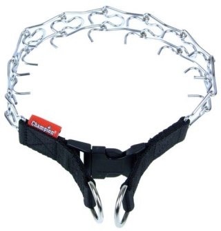 Champion Kolczatka [3T]