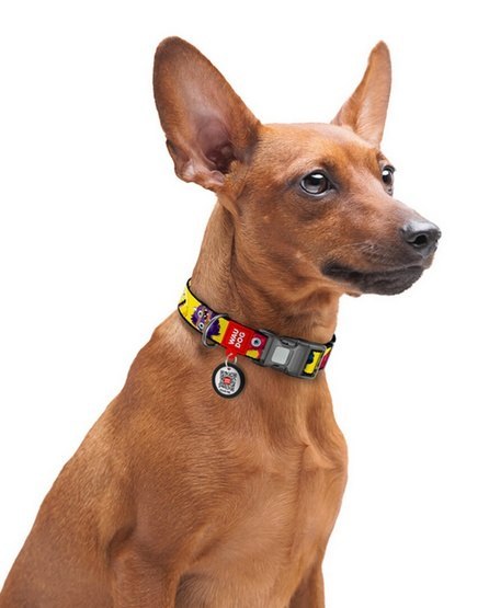 Collar WauDog Nylon Obroża nylonowa z QR-paszportem, plastikowy fastex, wzór FUTRZANE POTWORY, S 15mm/25-35cm