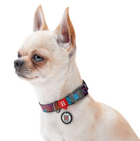 Collar WauDog Nylon Obroża nylonowa z QR-paszportem, plastikowy fastex, wzór LATO, 20mm/28-40cm