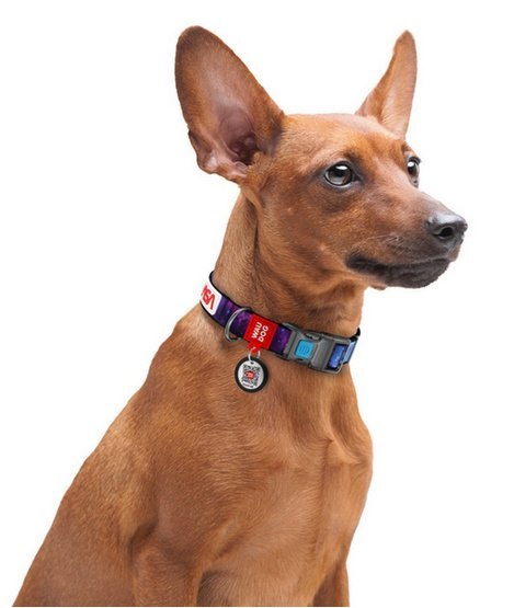 Collar WauDog Nylon Obroża nylonowa z QR-paszportem, plastikowy fastex, wzór NASA, 25mm/37-58cm