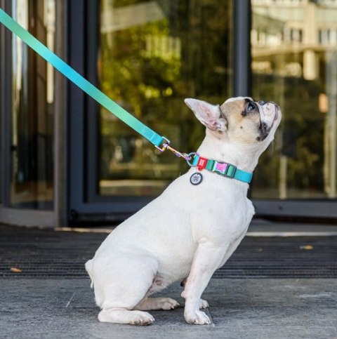 Collar WauDog Recycled Obroża nylonowa z QR-paszportem, gradient XL 25mm x 37-58cm niebieski