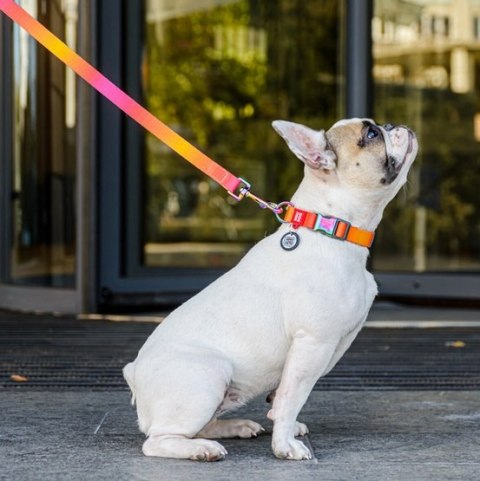 Collar WauDog Recycled Smycz nylonowa, gradient L-XXL 25mm/122cm pomarańczowy