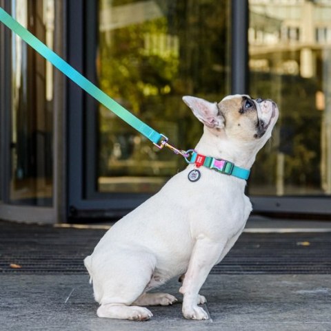 Collar WauDog Recycled Smycz nylonowa, gradient M 20mm/122cm niebieski