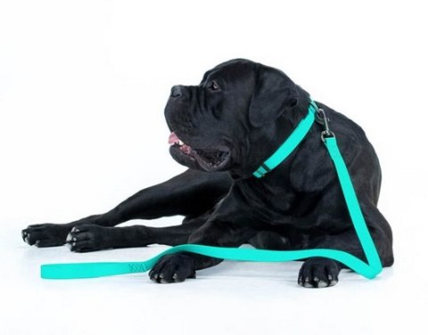 Collar WauDog Waterproof Obroża wodoodporna z QR-paszportem, akumulująca światło, plastikowy fastex, 15mm/25-35cm