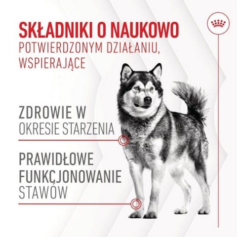 Royal Canin Joint & Ageing Chews Adult Supplements 240g