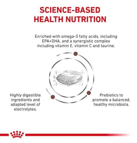Royal Canin Veterinary Diet Canine Gastrointestinal Low Fat Small 3,5kg