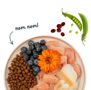 Sanabelle Adult Forelle - z pstrągiem 400g