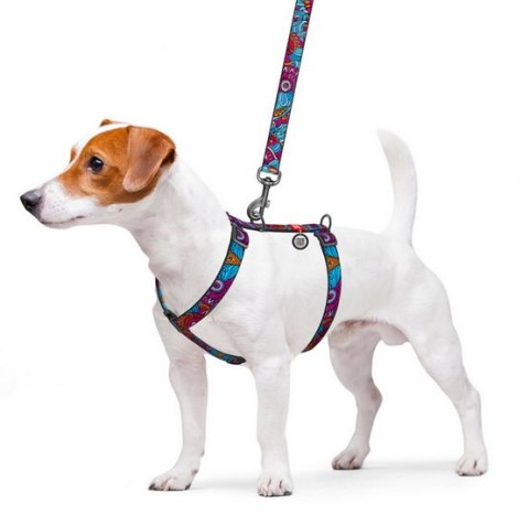 Collar WauDog Nylon Szelki nylonowe anatomiczne w kształcie litery H, z QR-paszportem, plastikowy fastex, wzór LATO, rozmiar L 2