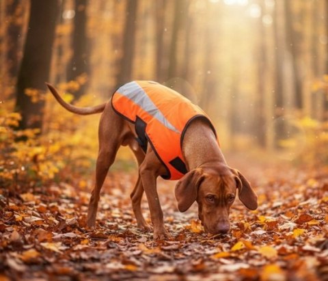 Zolux Kamizelka odblaskowa R.35 pomarańczowa
