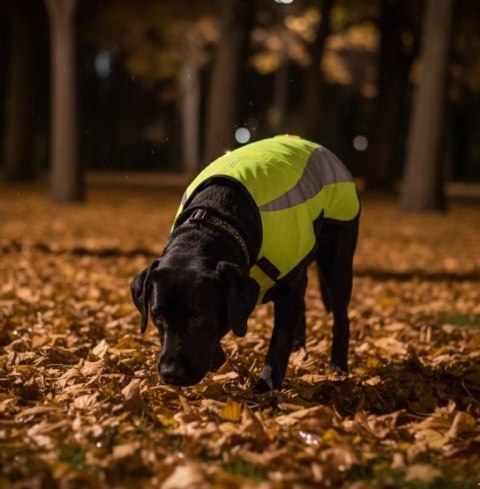 Zolux Kamizelka odblaskowa R.40 żółta