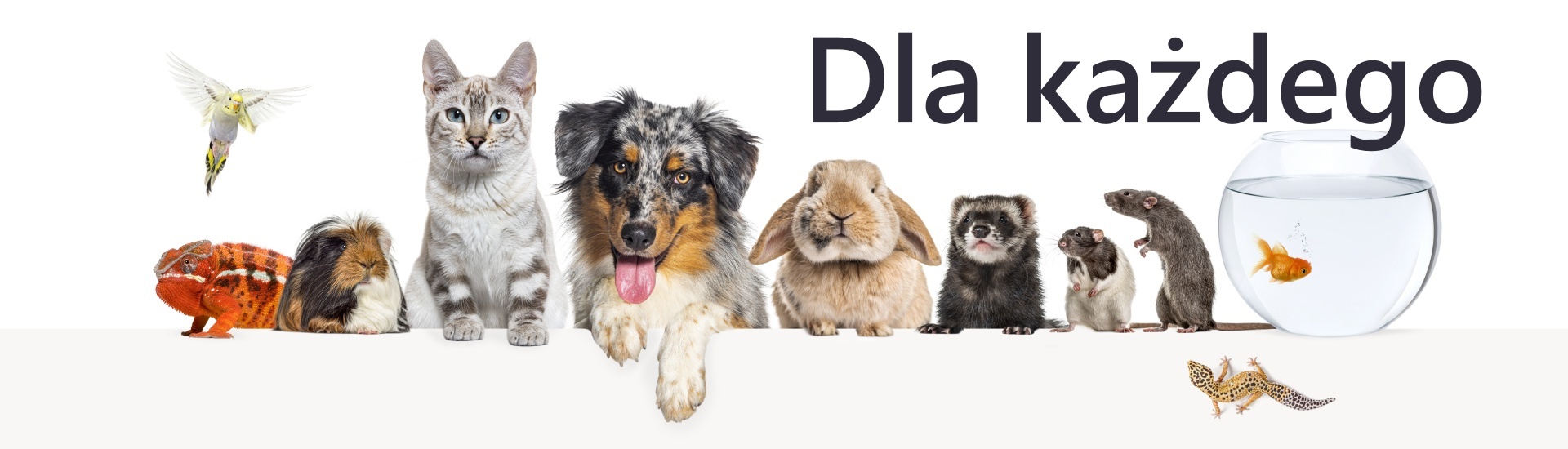 Dla każdego