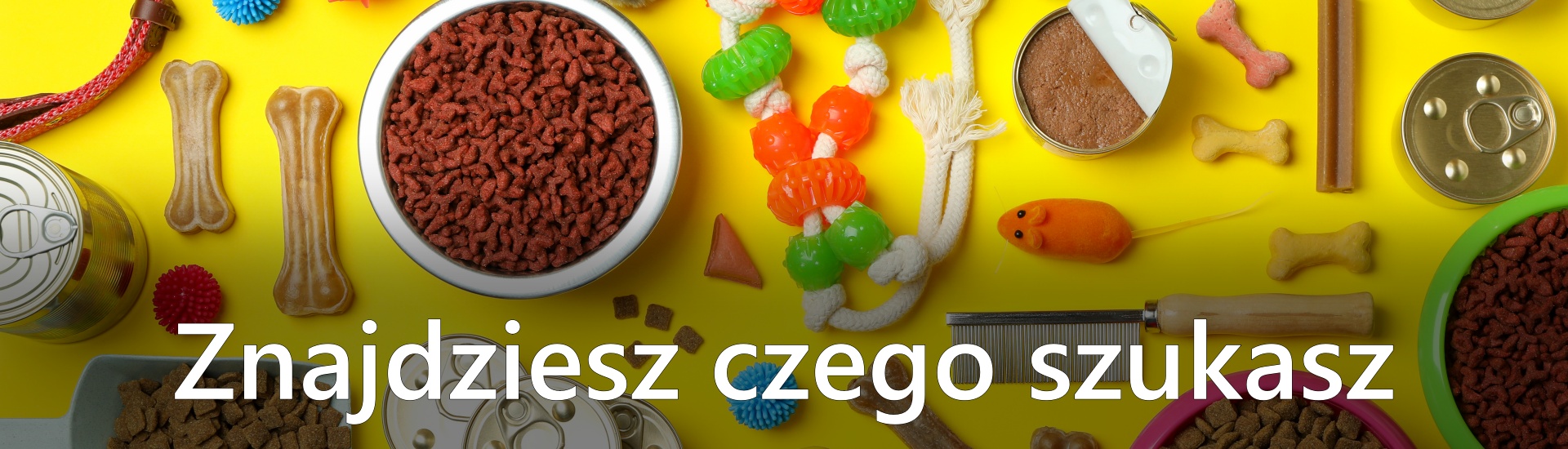 Znajdziesz czego szukasz